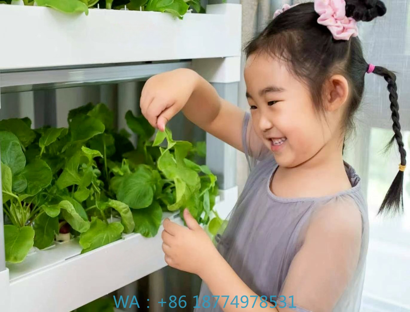 nt China Hydrokultur Grow Box  – Home Automation Systems Diy Bewertung und Preis