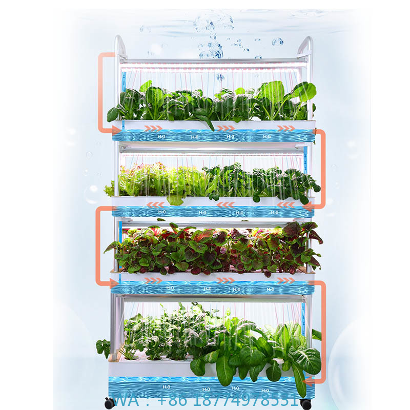 ydroponic Planting System Smar – Home Automation Systems Diy Bewertung und Preis