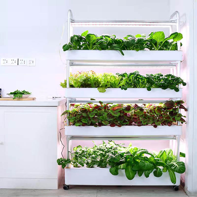 ydroponic Planting System Smar – Home Automation Systems Diy Bewertung und Preis