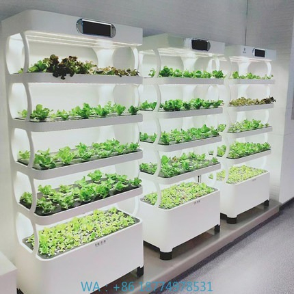 Hydroponic Automated Grow Syst – Home Automation Systems Diy Bewertung und Preis